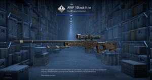 AWP | Black Nile (Field-Tested) Screenshot