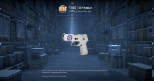 P250 | Whiteout (Field-Tested) Screenshot