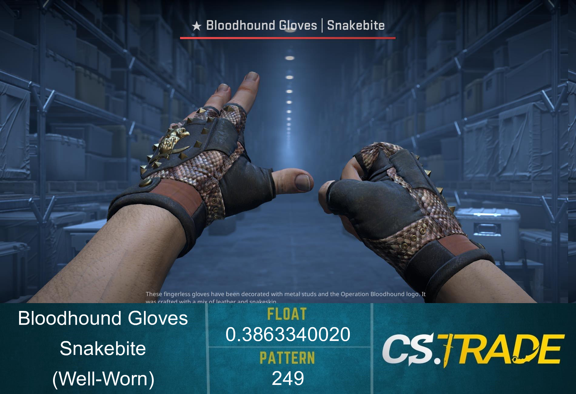 ★ Bloodhound Gloves | Snakebite (Well-Worn) Screenshot