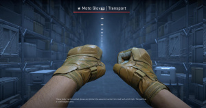 ★ Moto Gloves | Transport (Field-Tested) Screenshot