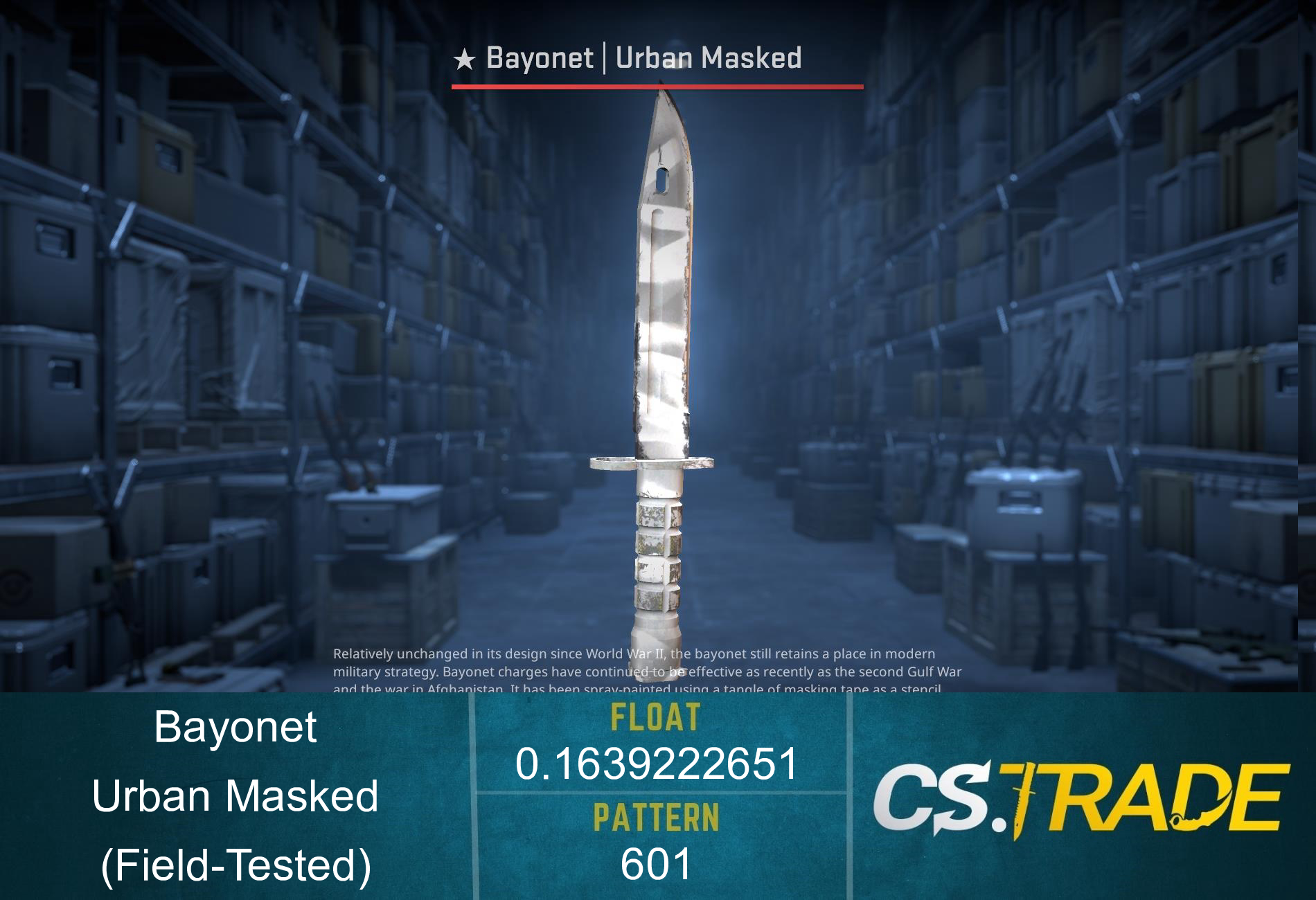 ★ Bayonet | Urban Masked (Field-Tested) Screenshot