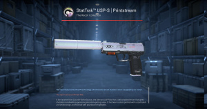 StatTrak™ USP-S | Printstream (Factory New) Screenshot