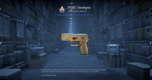 P250 | Verdigris (Factory New) Screenshot
