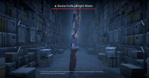 ★ Bowie Knife | Bright Water (Field-Tested) Screenshot