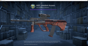 AUG | Random Access (Factory New) Screenshot