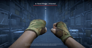 ★ Hand Wraps | Arboreal (Battle-Scarred) Screenshot