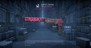 USP-S | Cortex (Well-Worn) Screenshot