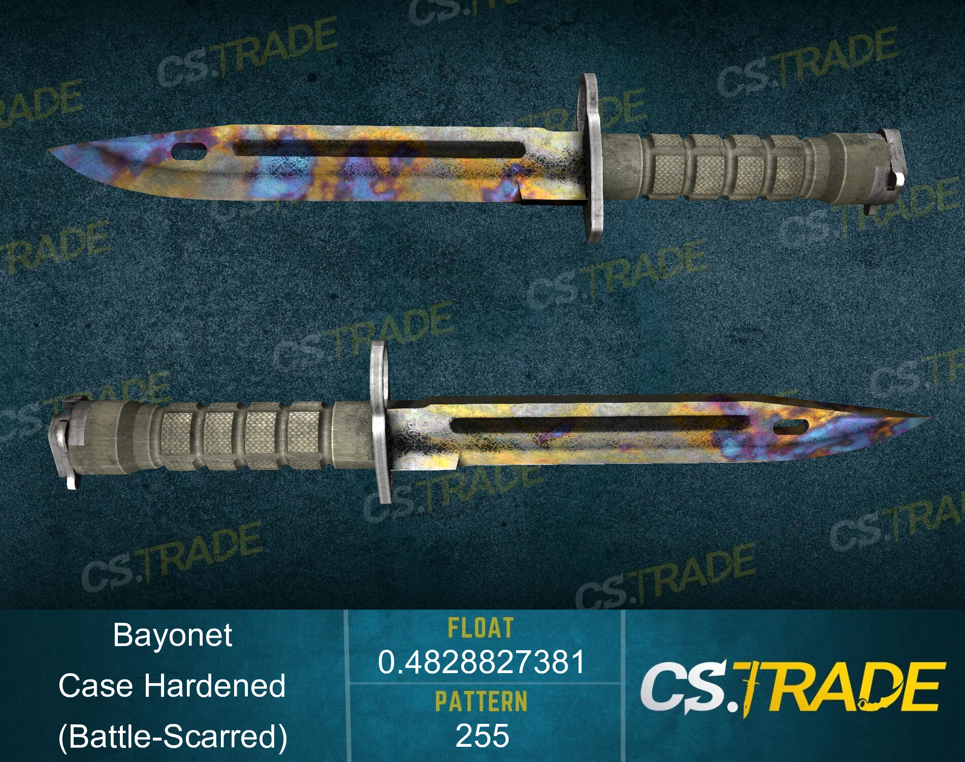 ★ Bayonet | Case Hardened (Battle-Scarred) Screenshot