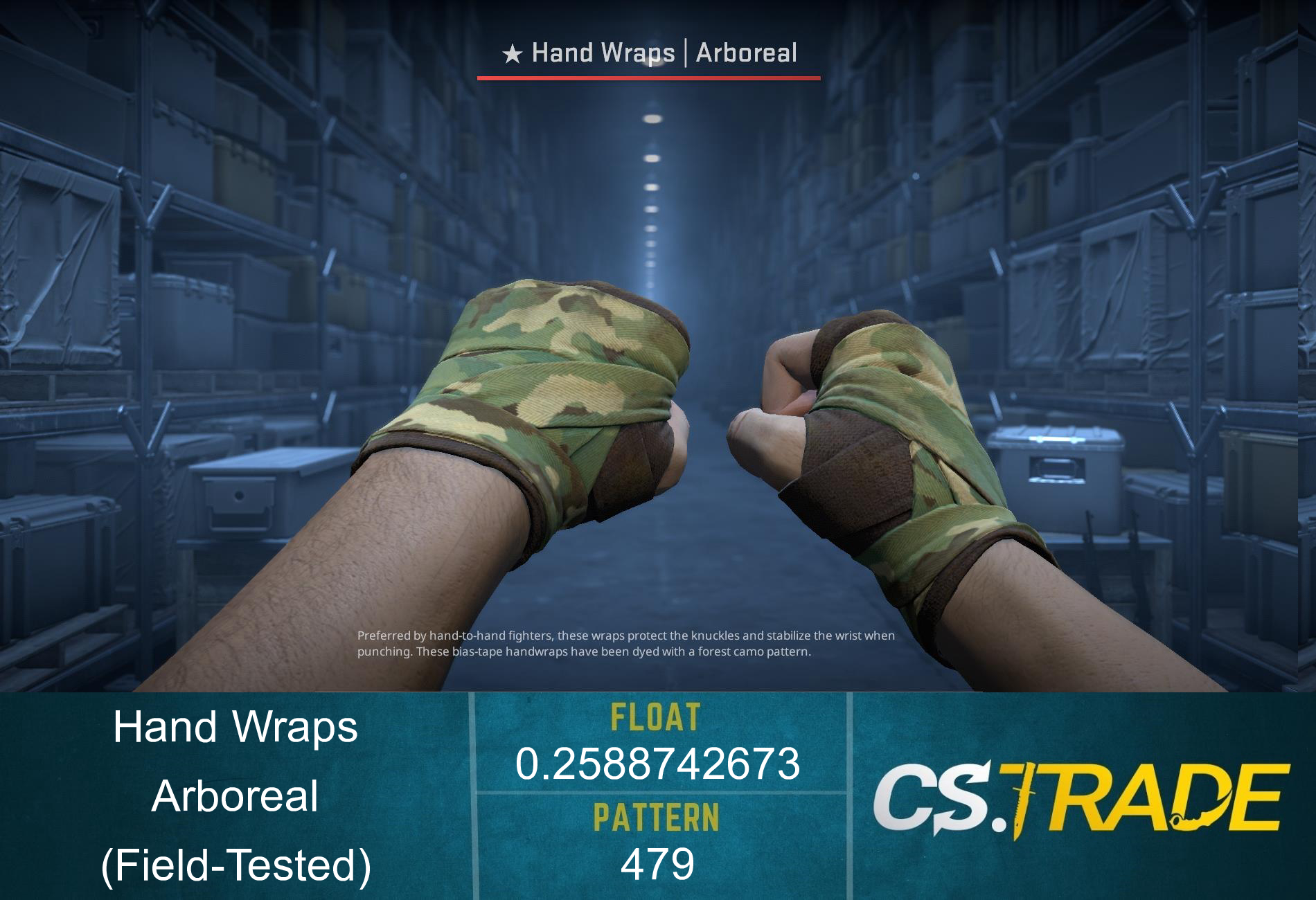 ★ Hand Wraps | Arboreal (Factory New) Screenshot