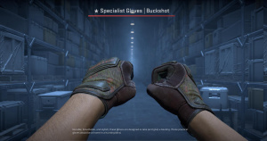 ★ Specialist Gloves | Buckshot (Well-Worn) Screenshot