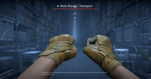 ★ Moto Gloves | Transport (Well-Worn) Screenshot