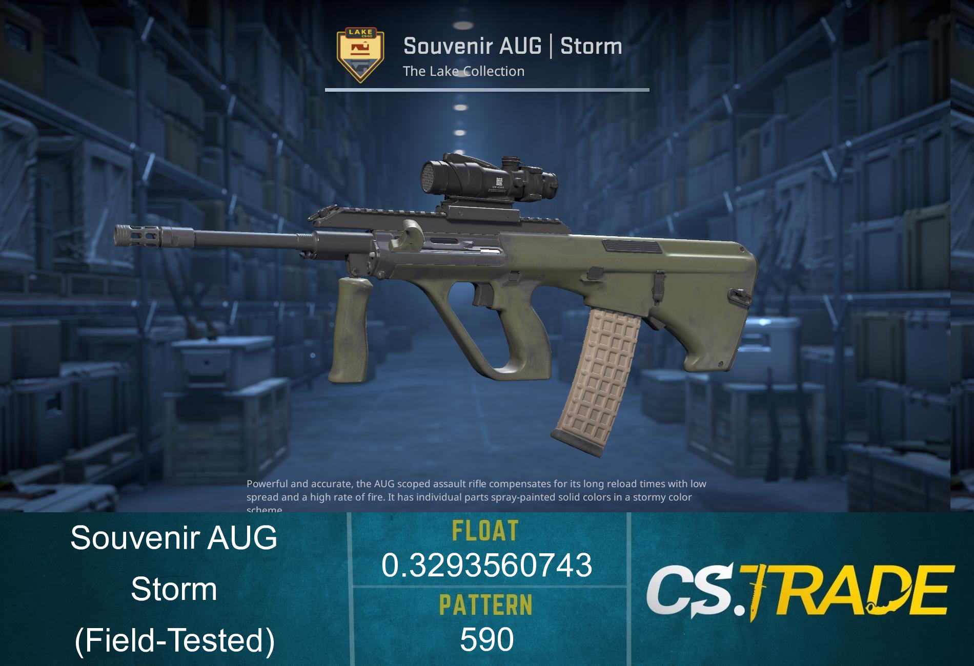 Souvenir AUG | Storm (Field-Tested) Screenshot