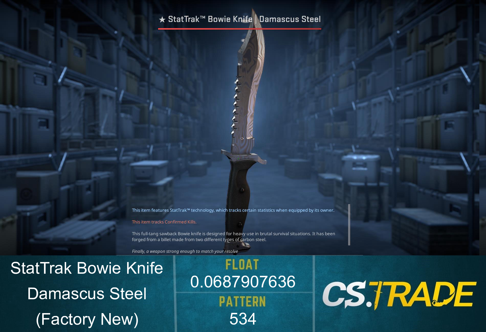 ★ StatTrak™ Bowie Knife | Damascus Steel (Battle-Scarred) Screenshot