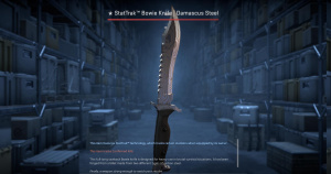 ★ StatTrak™ Bowie Knife | Damascus Steel (Factory New) Screenshot