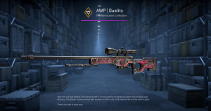 AWP | Duality (Minimal Wear) Screenshot