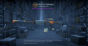 M4A1-S | Solitude (Minimal Wear) Screenshot