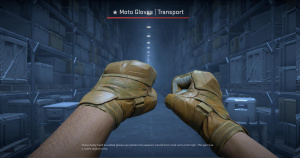 ★ Moto Gloves | Transport (Field-Tested) Screenshot