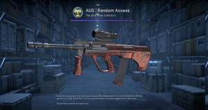 AUG | Random Access (Factory New) Screenshot