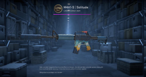 M4A1-S | Solitude (Minimal Wear) Screenshot