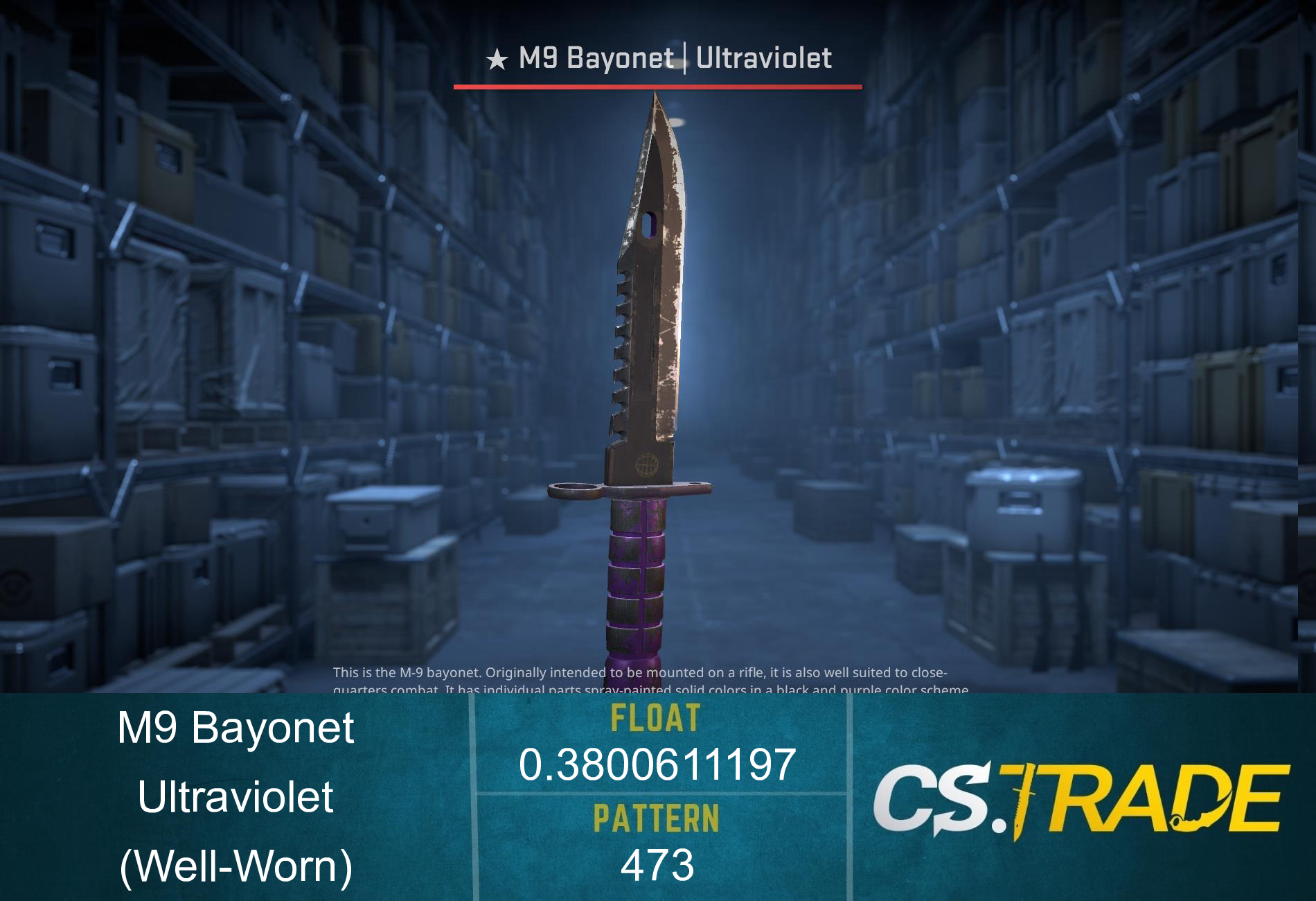 ★ StatTrak™ M9 Bayonet | Ultraviolet (Well-Worn) Screenshot