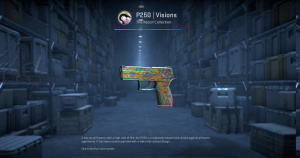 P250 | Visions (Field-Tested) Screenshot