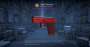 P250 | Muertos (Field-Tested) Screenshot