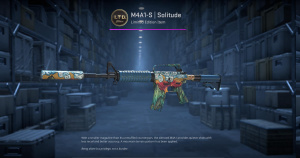 M4A1-S | Solitude (Minimal Wear) Screenshot