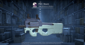 P90 | Storm (Field-Tested) Screenshot