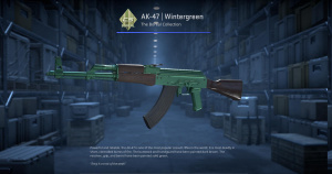 AK-47 | Wintergreen (Factory New) Screenshot