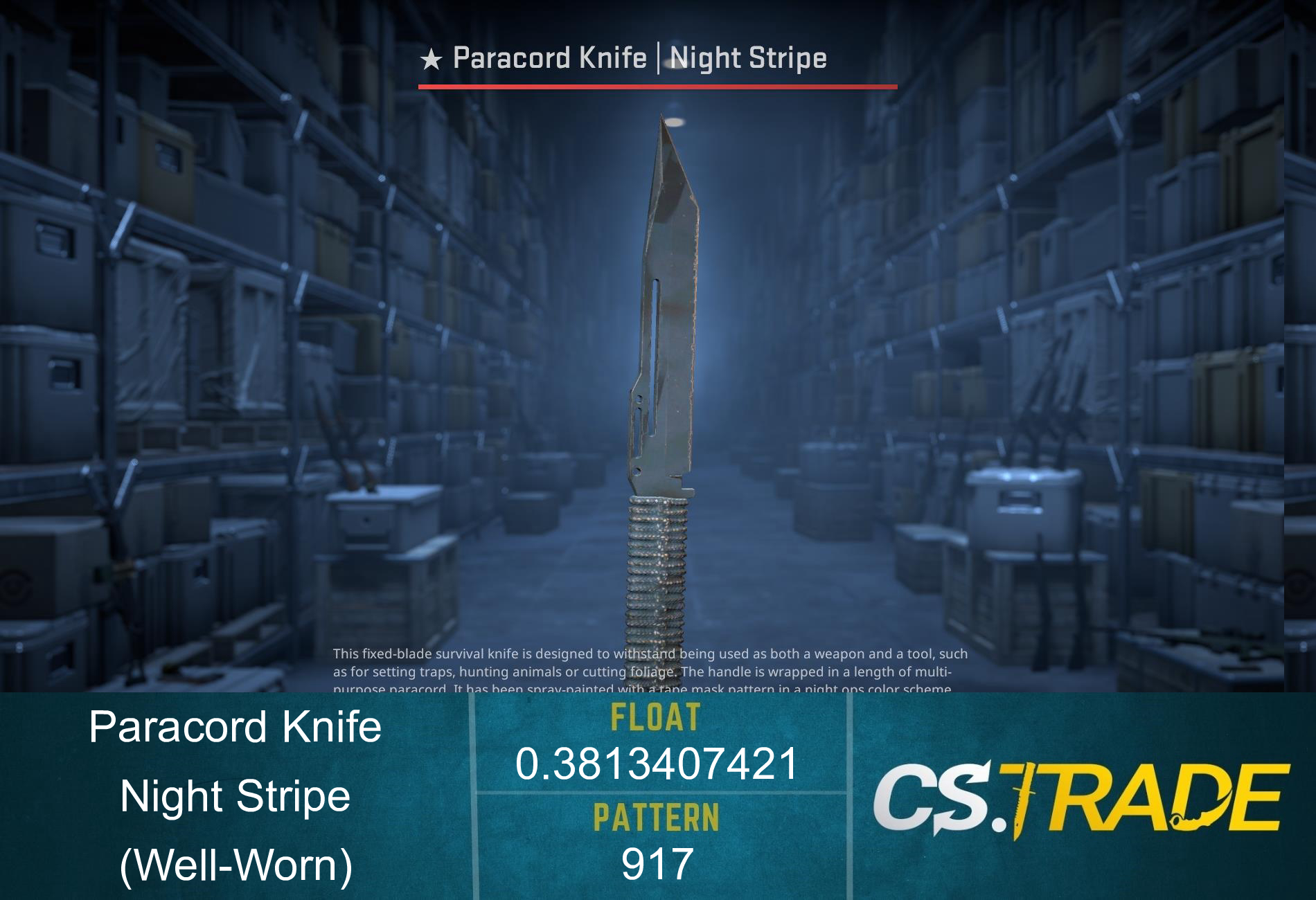 ★ Paracord Knife | Night Stripe (Well-Worn) Screenshot