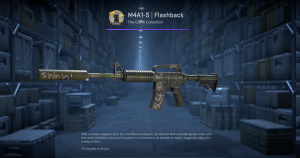 M4A1-S | Flashback (Factory New) Screenshot