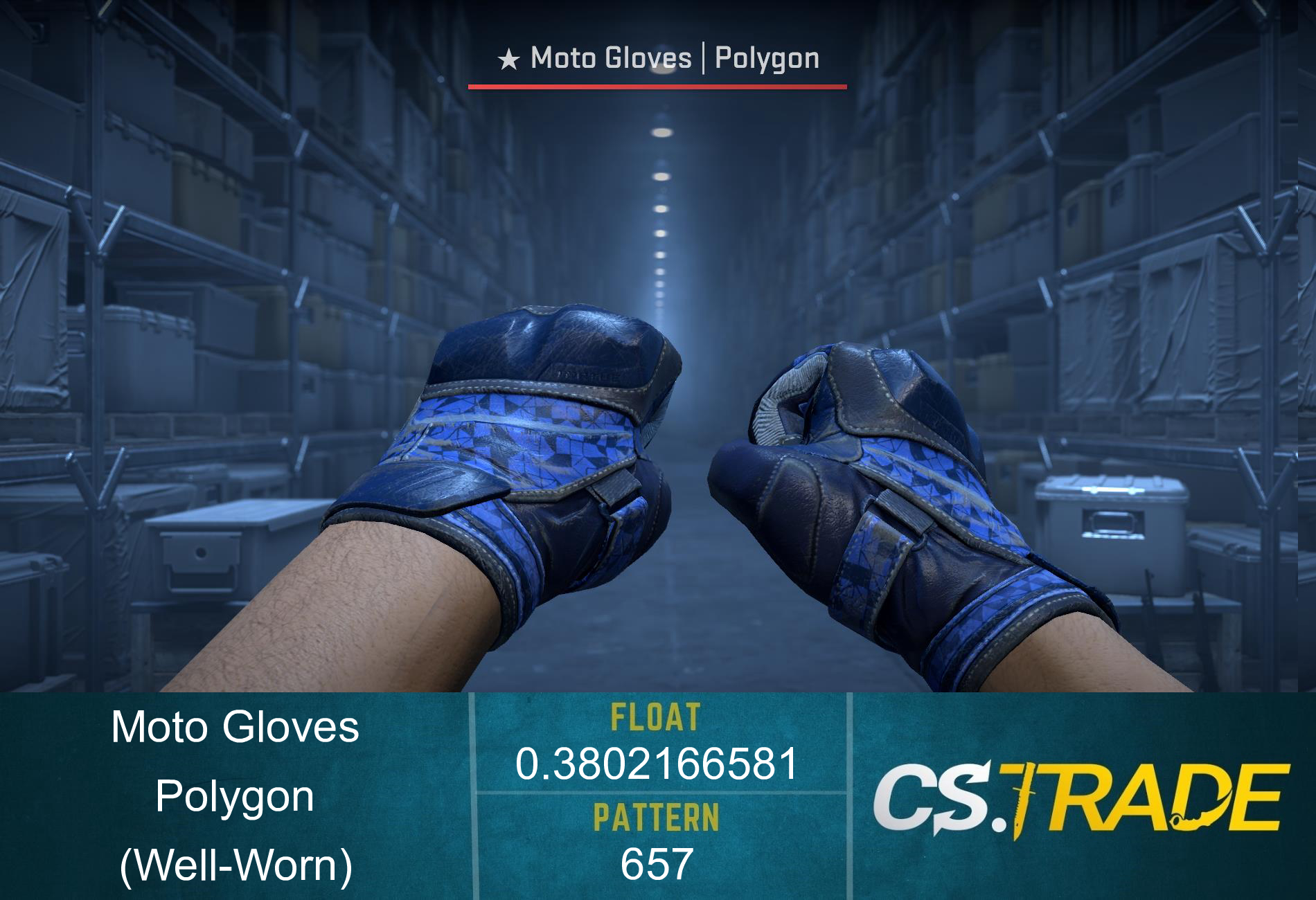 ★ Moto Gloves | Polygon (Well-Worn) Screenshot
