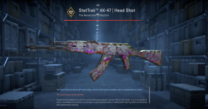 StatTrak™ AK-47 | Head Shot (Well-Worn) Screenshot