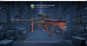 AUG | Random Access (Factory New) Screenshot