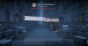 USP-S | Printstream (Battle-Scarred) Screenshot