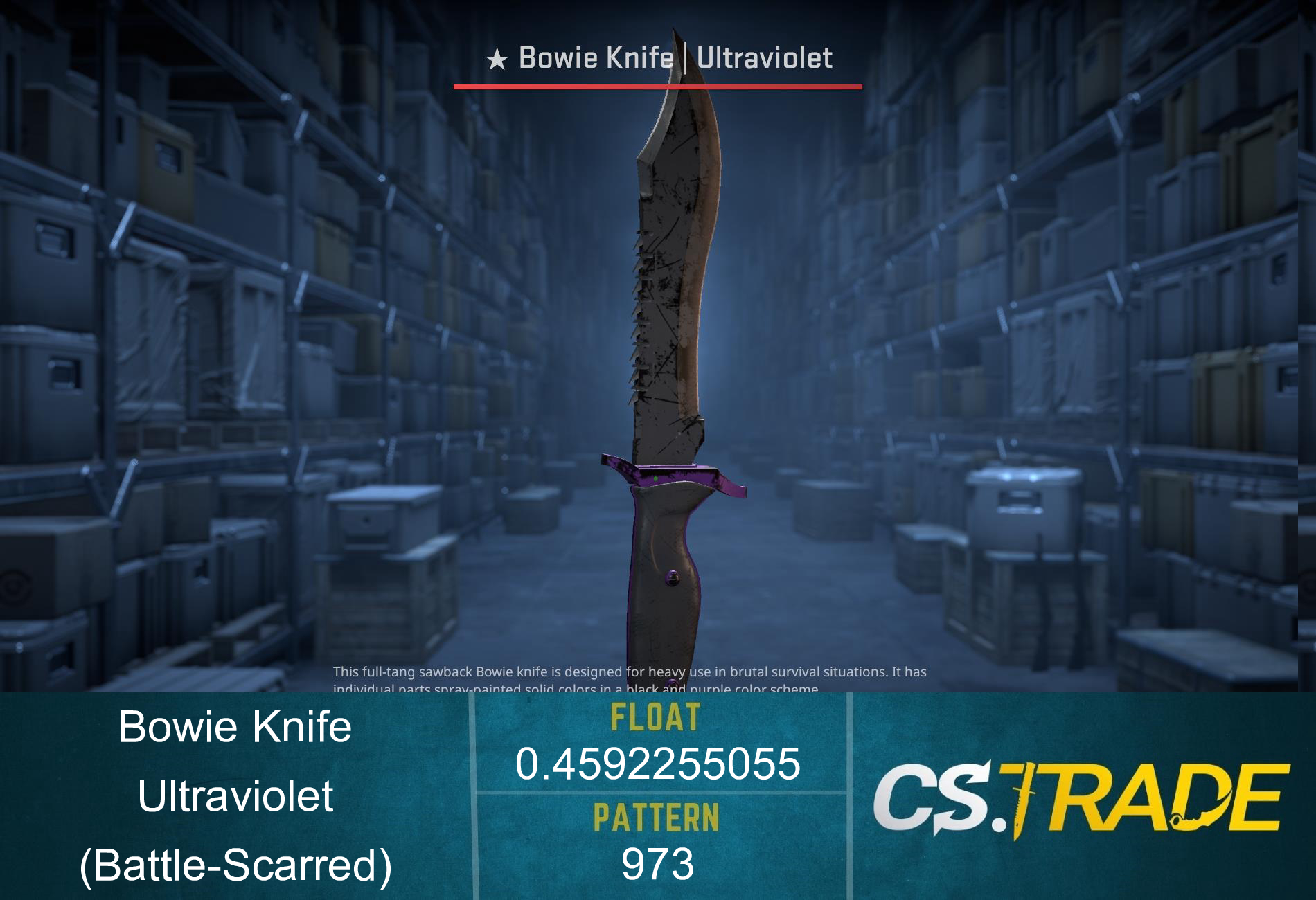 ★ StatTrak™ Bowie Knife | Ultraviolet (Battle-Scarred) Screenshot