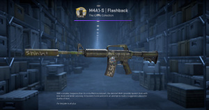 M4A1-S | Flashback (Minimal Wear) Screenshot