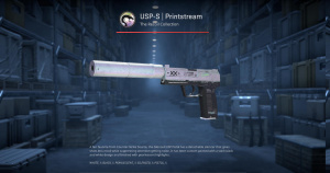 USP-S | Printstream (Battle-Scarred) Screenshot