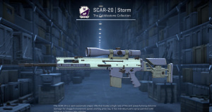 SCAR-20 | Storm (Field-Tested) Screenshot