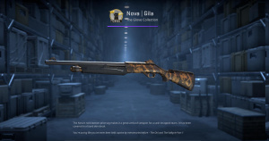 Nova | Gila (Factory New) Screenshot