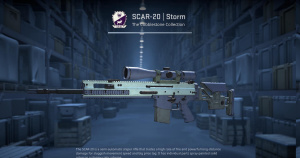 SCAR-20 | Storm (Well-Worn) Screenshot