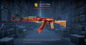 AK-47 | X-Ray (Factory New) Screenshot