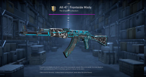AK-47 | Frontside Misty (Battle-Scarred) Screenshot