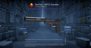 StatTrak™ USP-S | Guardian (Field-Tested) Screenshot
