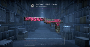StatTrak™ USP-S | Cortex (Field-Tested) Screenshot