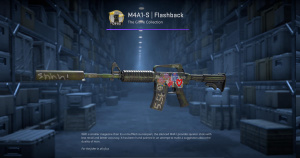 M4A1-S | Flashback (Minimal Wear) Screenshot