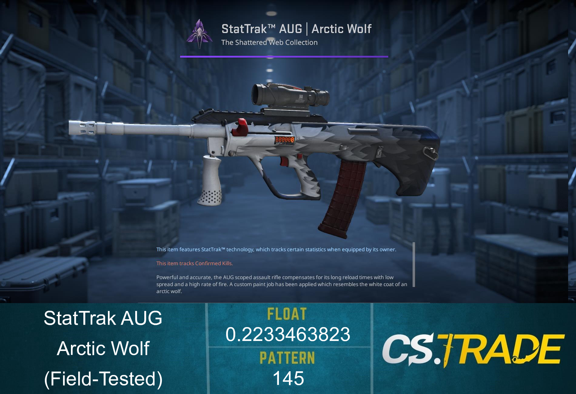 StatTrak™ AUG | Arctic Wolf (Field-Tested) Screenshot
