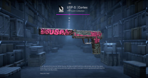 USP-S | Cortex (Well-Worn) Screenshot