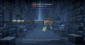 M4A1-S | Solitude (Minimal Wear) Screenshot
