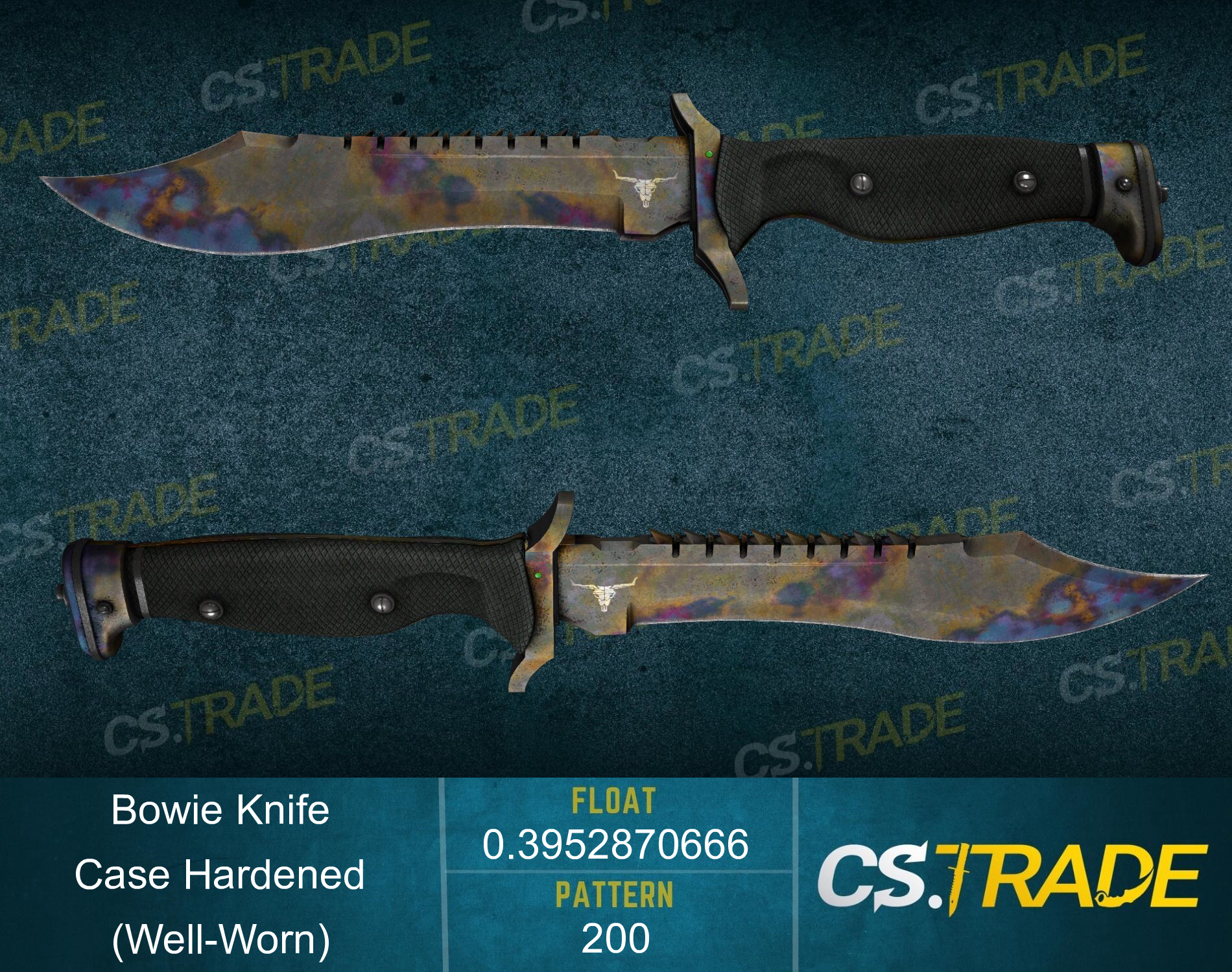 ★ Bowie Knife | Case Hardened (Well-Worn) Screenshot